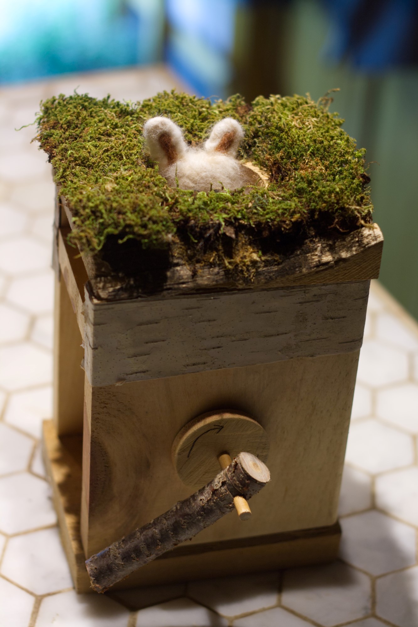 Bunny Automata Down