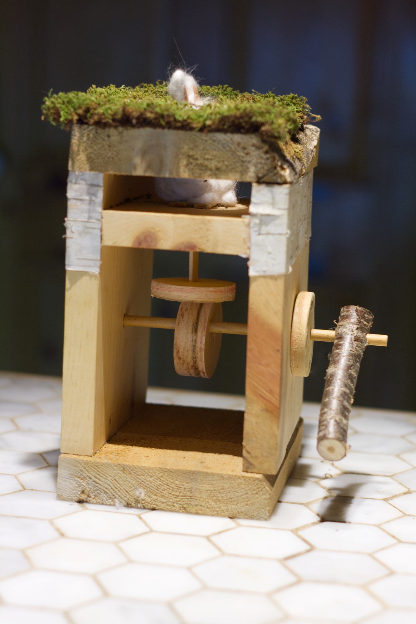 Bunny Automata Side