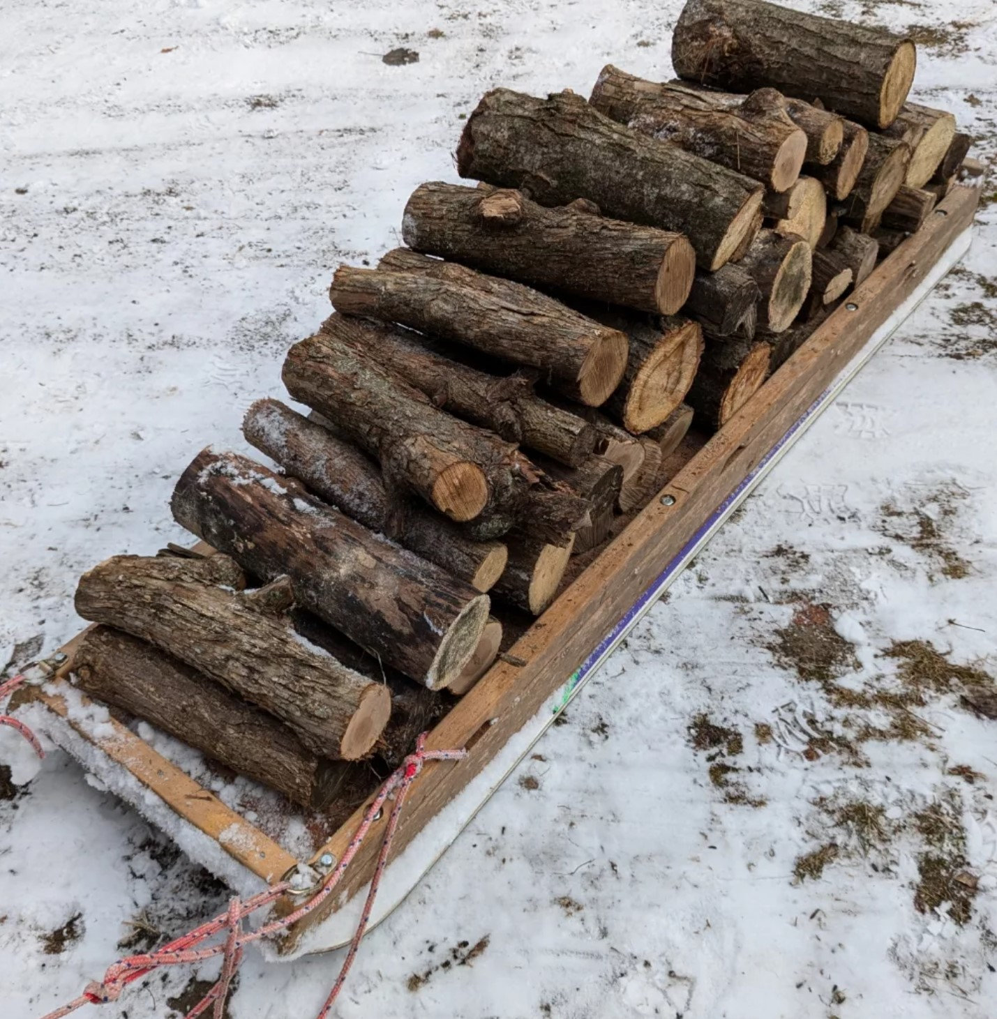 Winter Sled