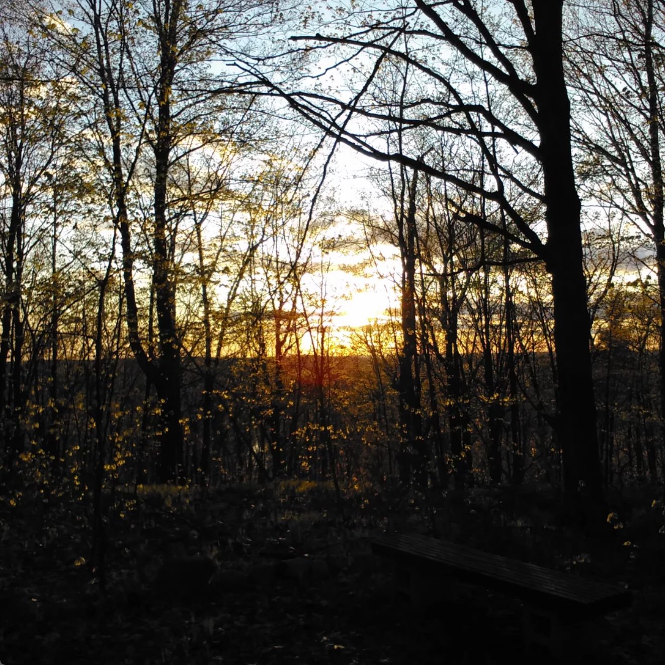 Spring Songs